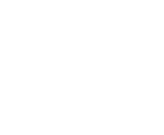 DYSS Logo